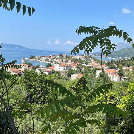 Apartment Davor Gradac  Esterno foto