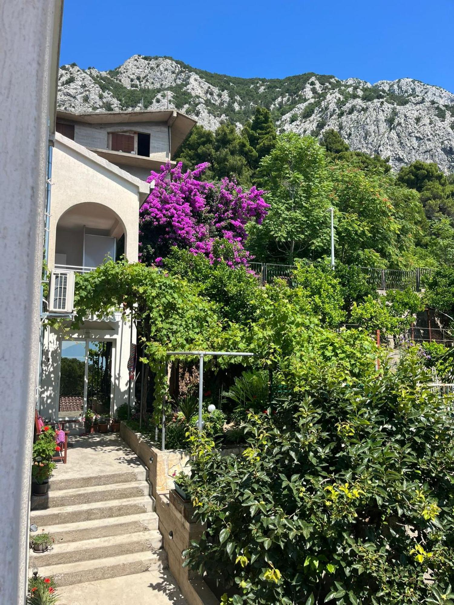 Apartment Davor Gradac  Esterno foto